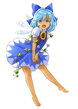 Rule 34 | 1girl, :d, artist name, barefoot, blue bow, blue dress, blue eyes, blue hair, bow, cirno, dot nose, dress, dress tug, flower, freckles, full body, hair bow, hidden star in four seasons, highres, ice, ice wings, leaning forward, looking at viewer, manamanami, open mouth, own hands together, parted bangs, plant, puffy short sleeves, puffy sleeves, red ribbon, ribbon, short hair, short sleeves, signature, simple background, smile, sunflower, tanned cirno, touhou, transparent background, vines, wings
