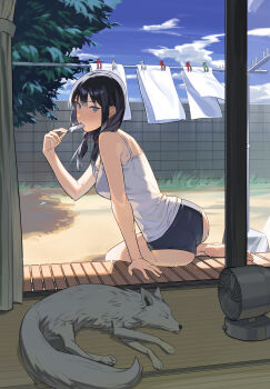1girl absurdres animal barefoot black_hair black_panties blue_sky camisole clothes_pin cloud commentary day electric_fan food food_in_mouth fox from_inside grey_eyes highres holding holding_food holding_popsicle laundry laundry_pole looking_at_viewer looking_inside low_twintails no_pants original panties popsicle popsicle_in_mouth sky solo summer sweat tebasaki_gitsune twintails underwear veranda white_camisole