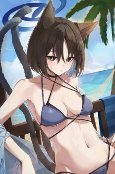 1girl absurdres animal_ears beach bikini black_eyes black_hair black_tail blue_archive blue_bikini blue_halo blue_tail blush breasts cat_ears cat_girl cat_tail cloud coconut_tree criss-cross_straps gradient_tail halo ham_(hamparty) haori highres japanese_clothes kikyou_(blue_archive) kikyou_(swimsuit)_(blue_archive) layered_bikini looking_at_viewer multi-strapped_bikini_bottom multiple_tails navel official_alternate_costume outdoors palm_tree short_hair sky solo sweat swimsuit tail tree two_tails white_haori