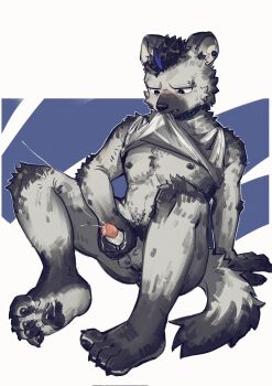1boy arknights barefoot black_hair blush claws clothes_lift commentary cum ear_piercing ejaculation english_commentary erection eyebrow_piercing face_piercing furry furry_male ganezu6 grey_fur highres hyena_boy hyena_ears hyena_tail infection_monitor_(arknights) looking_at_penis looking_down male_focus male_masturbation masturbation multicolored_hair navel nipples no_male_underwear no_pants pawpads penis piercing shirt_lift sitting spot_(arknights) streaked_hair tank_top testicles white_tank_top