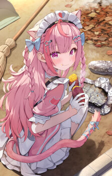 1girl ahoge animal_ears animal_print autumn autumn_leaves blue_bow blue_ribbon blush bow braid broom cat_ears cat_girl cat_hair_ornament cat_print cat_tail closed_mouth crumbs dress extra_ears food gloves hair_bow hair_ornament hairclip heart heart_print highres indie_virtual_youtuber leaf long_hair looking_at_viewer looking_back maid maid_headdress outdoors pink_dress pink_eyes pink_hair pink_tail ribbon short_sleeves smile solo star_(symbol) star_hair_ornament summer_tail720 suspenders sweatdrop sweet_potato tail tail_ornament tail_ribbon thighhighs thighs two_side_up virtual_youtuber white_gloves white_thighhighs yuuki_sakuna yuuki_sakuna_(3rd_costume)