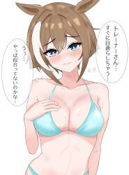 Rule 34 | 1girl, animal ears, bikini, blue eyes, blush, breasts, brown hair, cheval grand (umamusume), cleavage, closed mouth, collarbone, commentary request, hair between eyes, hair ornament, highres, horse girl, looking at viewer, medium breasts, medium hair, simple background, solo, sweat, swimsuit, tsumu618, umamusume, white background