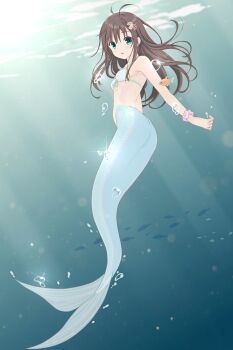 1girl absurdres air_bubble armpit_crease ass bare_shoulders bikini bikini_top_only blue_eyes blush breasts brown_hair bubble commentary_request fish full_body hair_between_eyes hair_ornament highres long_hair looking_at_viewer mermaid mizushima_aimi_(rinshi) monster_girl ocean original paid_reward_available parted_lips pink_scrunchie rinshi scrunchie sidelocks small_breasts solo starfish_hair_ornament stomach swimsuit underwater white_bikini wrist_scrunchie