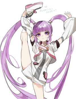 1girl closed_mouth highres leg_hold leg_lift leg_up long_hair looking_at_viewer meameeea purple_eyes purple_hair simple_background smile solo sophie_(tales) split standing standing_on_one_leg standing_split tales_of_(series) tales_of_graces twintails white_background