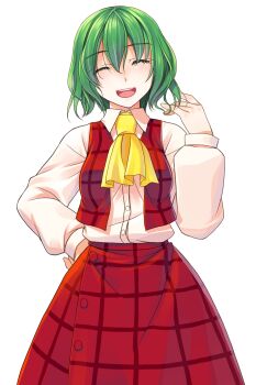 Rule 34 | 1girl, :d, ascot, buttons, closed eyes, commentary request, crote, facing viewer, green hair, hand on own hip, hand up, highres, kazami yuuka, large variant set, long skirt, long sleeves, notice lines, open clothes, open mouth, open vest, plaid clothes, plaid skirt, plaid vest, puffy long sleeves, puffy sleeves, red skirt, red vest, shirt, shirt tucked in, short hair, skirt, skirt set, sleeve cuffs, smile, solo, tachi-e, teeth, touhou, transparent background, upper teeth only, variant set, vest, white shirt, yellow ascot