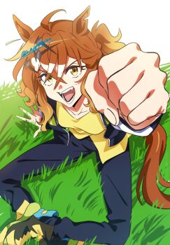 Rule 34 | 1girl, absurdres, ahoge, animal ears, arm up, black jacket, blue pants, breasts, brown hair, clenched hand, collarbone, from above, hair between eyes, hair ornament, hairclip, highres, horse ears, horse girl, horse tail, jacket, jungle pocket (umamusume), long sleeves, looking at viewer, looking up, nk-43g, notched ear, open clothes, open jacket, open mouth, pants, shirt, shoes, smile, solo, tail, teeth, umamusume, yellow eyes, yellow shirt