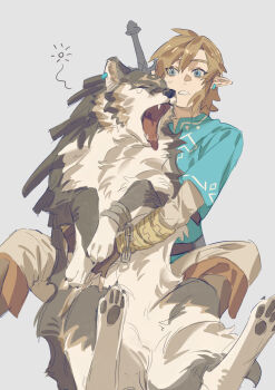 1boy animal_ear_piercing blue_tunic brown_hair commentary_request dual_persona earrings highres jewelry link male_focus nintendo open_mouth parted_lips pawpads pointy_ears sidelocks sitting sumooo_(ga_ilil) sword sword_on_back the_legend_of_zelda the_legend_of_zelda:_breath_of_the_wild the_legend_of_zelda:_twilight_princess tunic weapon weapon_on_back wolf wolf_link