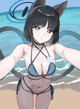 1girl absurdres animal_ears beach bikini black_choker black_eyes black_hair black_tail blue_archive blue_bikini blue_halo blue_tail blush breasts cat_ears cat_girl cat_tail choker cleavage closed_mouth collarbone cowboy_shot criss-cross_straps expressionless flower_ornament fujisawa_sorao gradient_tail halo heart heart_tail highleg highleg_bikini highres kikyou_(blue_archive) kikyou_(swimsuit)_(blue_archive) layered_bikini leaning_forward medium_breasts multiple_tails navel official_alternate_costume selfie short_hair solo stomach swimsuit tail two_tails