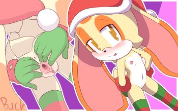 1girl brown_eyes buckhori159 cream_the_rabbit loli nipples nude pussy sonic_(series)