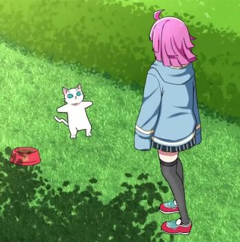 1girl ahoge animal animated audible_music audible_speech blunt_ends cat cat_breakdancing_(meme) dancing grass grey_thighhighs hanpen_(love_live!) hood hooded_jacket jacket japanese_audio love_live! love_live!_nijigasaki_high_school_idol_club medium_hair meme music parody pink_hair school_uniform shadow shoes ska.harumi sneakers sound standing tagme tennoji_rina thighhighs tsunagaru_connect_(love_live!) video white_cat