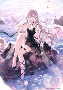 Rule 34 | 1girl, arutera, bird, black dress, dress, feet in water, highres, left shoe removed, long hair, ocean, original, rock, shoes, single shoe, sitting, solo, very long hair, water