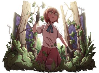 Rule 34 | 1girl, ahoge, ascot, backlighting, black gloves, blue ascot, bob cut, branch, character request, commentary, gloves, highres, holding, holding branch, looking ahead, mefomefo, open door, open mouth, orange hair, plant, power lines, red skirt, shirt, short hair, short sleeves, skirt, solo, teeth, touhou, tree, upper body, upper teeth only, utility pole, walking towards viewer, white shirt, yellow eyes