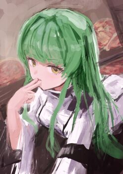 1girl absurdres c.c. code_geass commentary fingers_to_mouth green_hair highres long_hair long_sleeves looking_at_viewer nepperoni solo straitjacket upper_body yellow_eyes