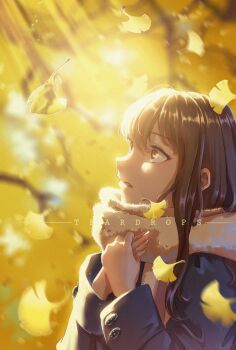 1girl autumn autumn_leaves black_eyes blue_coat blurry blurry_background brown_hair buttons coat commentary falling_leaves fingernails from_side ginkgo_tree hands_up holding_own_hand leaf long_hair long_sleeves looking_up original parted_lips scarf solo sunlight teardrops_(user_vgvd7733) upper_body yellow_scarf