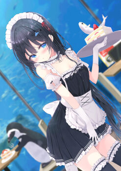1girl animal apron bird black_dress black_hair black_thighhighs blue_eyes blurry blurry_background blush breasts cake cake_slice cleavage commentary_request depth_of_field detached_sleeves dress dutch_angle fish food frilled_apron frilled_thigh_strap frills hair_between_eyes hair_ornament hairclip hand_up highres holding holding_tray indoors kouda_suzu long_hair maid maid_headdress original penguin pleated_dress puffy_short_sleeves puffy_sleeves short_sleeves small_breasts solo standing thigh_strap thighhighs tray very_long_hair water white_apron white_sleeves window