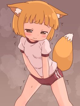 1girl animal_ears blonde_hair blush brown_background brown_eyes buruma flat_chest fox_ears fox_girl fox_tail irohiza leaning_forward loli looking_down original red_buruma shirt short_hair short_sleeves standing sweat tail trembling white_shirt