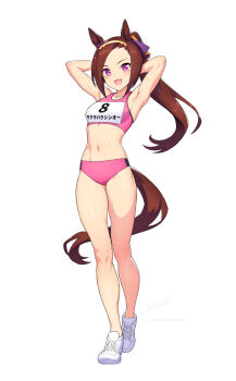 Rule 34 | 1girl, animal ears, armpits, bare shoulders, breasts, brown hair, buruma, collarbone, commentary, english commentary, flower in eye, full body, gold hairband, hairband, horse ears, horse girl, horse tail, long hair, looking at viewer, medium breasts, midriff, navel, open mouth, pink buruma, pink sports bra, ponytail, purple eyes, revenantart, sakura bakushin o (umamusume), shoes, simple background, smile, solo, sports bra, stomach, symbol in eye, tail, track uniform, umamusume, white background