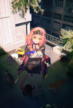 Rule 34 | 1girl, absurdres, animal ears, arknights, balcony, black skirt, bowl, braid, cat, cat ears, closed mouth, day, goldenglow (arknights), hair ribbon, highres, holding, holding bowl, jacket, jian jia, long hair, open clothes, open jacket, pet bowl, pink hair, ribbon, shirt, skirt, smile, solo, standing, thighhighs, white shirt, white thighhighs, yellow eyes