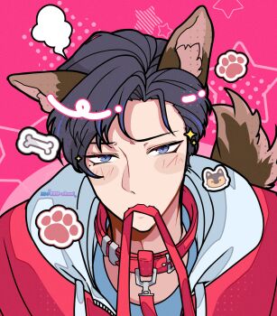 1boy absurdres animal_ears blue_eyes blush bone caelen_strayfe collar first_stage_production german_shepherd highres jacket leash moeruzyo paw_print pink_background red_collar red_jacket sparkle tail virtual_youtuber