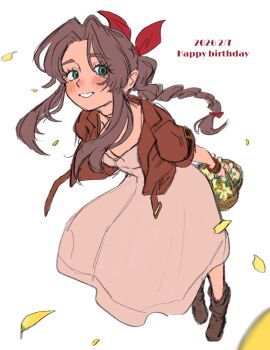 Rule 34 | 1girl, aerith gainsborough, arms behind back, boots, braid, braided ponytail, brown boots, brown hair, commentary request, cropped jacket, dress, final fantasy, final fantasy vii, final fantasy vii remake, flower basket, from above, green eyes, hair ribbon, highres, jacket, kijiya nuko24, long dress, long hair, parted bangs, petals, pink dress, red jacket, red ribbon, ribbon, sidelocks, smile, white background