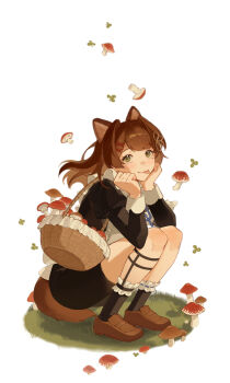 1girl :p animal_ears ankle_strap apron basket black_dress black_socks black_straps blue_ribbon brown_eyes brown_hair brown_ribbon brown_shoes clenched_hands closed_mouth cocoa_(shinyshynii) commentary dress elbow_on_knee english_commentary floating_hair frilled_apron frills grass hair_ribbon hands_on_own_cheeks hands_on_own_face highres juliet_sleeves light_blush long_hair long_sleeves looking_at_viewer mole mole_under_eye mushroom neck_ribbon original puffy_sleeves ribbon shinyshynii shoes simple_background smile socks solo sprout swept_bangs tail tongue tongue_out vignetting white_apron white_background white_wrist_cuffs wolf_ears wolf_girl wolf_tail wrist_cuffs