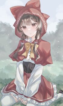 Rule 34 | 1girl, absurdres, alternate costume, brown corset, brown hair, capelet, carin (c arin1012), closed mouth, commentary request, corset, cosplay, frilled hair tubes, frilled skirt, frills, hair tubes, hakurei reimu, highres, hood, hood up, hooded capelet, little red riding hood (fairy tale), little red riding hood (fairy tale character), little red riding hood (fairy tale character) (cosplay), long sleeves, looking at viewer, red capelet, red hood, red skirt, shirt, sitting, skirt, smile, solo, thighhighs, touhou, wariza, white shirt, white thighhighs