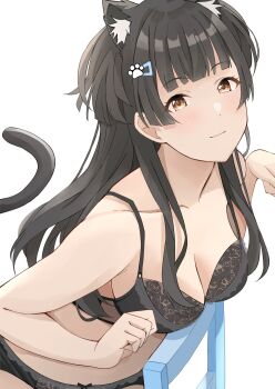1girl animal_ear_fluff animal_ears black_bra black_hair bra breasts brown_eyes cat_ears cat_girl cat_tail chair commentary_request hair_ornament highres idolmaster idolmaster_shiny_colors kemonomimi_mode lace lace-trimmed_bra lace-trimmed_panties lace_trim long_hair mayuzumi_fuyuko panties paw_print_ornament tail tukikataumemo underwear white_background