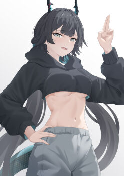Rule 34 | 1girl, absurdres, arknights, arknights: endfield, arm up, black hair, black hoodie, breasts, chen qianyu (arknights), commentary, crop top, cropped hoodie, english commentary, gradient background, grey background, grey eyes, groin, hand on own hip, highres, hood, hood down, hoodie, horns, long hair, long sleeves, looking at viewer, medium breasts, meonic, midriff, navel, open mouth, smile, solo, tail, underboob, very long hair, white background