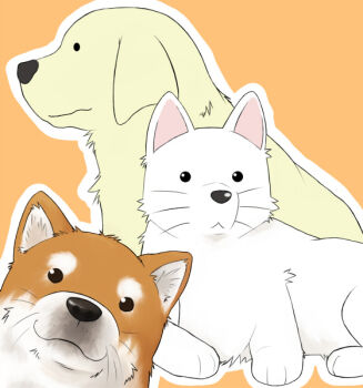 Rule 34 | 00s, animal focus, azumanga daiou, black eyes, cherry (lucky star), crossover, dog, ichigo mashimaro, looking at viewer, lucky star, multiple crossover, no humans, orange background, satake (2f), satake (ichigo mashimaro), simple background, tadakichi-san