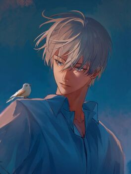 1boy animal animal_on_shoulder bird bird_on_shoulder blue_background blue_eyes closed_mouth collarbone commentary_request grey_eyes grey_shirt gymnopedies2 hair_between_eyes looking_at_another love_and_deepspace male_focus shirt short_hair simple_background solo upper_body xavier_(love_and_deepspace)