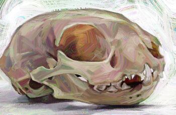highres no_humans object_focus original painterly skull twulfs