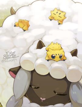 Rule 34 | blue eyes, bug, closed eyes, closed mouth, fluffy, gen 5 pokemon, gen 8 pokemon, highres, joltik, nintendo, no humans, pokemon, pokemon (creature), pokemon focus, sheep, tatsumi (panneko), wool, wooloo