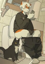 Rule 34 | 1boy, animal ears, black fur, black pants, black shirt, black sweater, blue eyes, cat, cat boy, cat ears, cellphone, clothes pull, furry, furry male, highres, holding, holding phone, long sleeves, male focus, milkybot, multicolored fur, orange fur, original, pants, pants pull, phone, sandals, shirt, short hair, smartphone, solo, sweater, toilet, toilet use, white fur, white hair