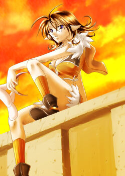 1girl 2000s_(style) animal_ears breasts brown_hair brown_shirt brown_shorts cleavage cloud commentary_request crop_top expressionless fake_animal_ears flipped_hair full_body fur-trimmed_shirt fur-trimmed_shorts fur_trim hanasakuraya looking_at_viewer medium_breasts on_wall orange_sky outdoors parted_lips pointy_ears purple_eyes ragnarok_online shirt short_hair shorts sitting sky sleeveless sleeveless_shirt sniper_(ragnarok_online) solo sunset two-tone_shirt unworn_fake_animal_ears
