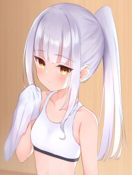 1girl bare_arms bare_shoulders blush breasts brown_eyes closed_mouth collarbone commentary_request fate/grand_order fate_(series) grey_hair hand_up highres holding holding_towel light_smile long_hair looking_at_viewer melusine_(fate) ponytail riya_(01214) small_breasts solo sports_bra towel upper_body