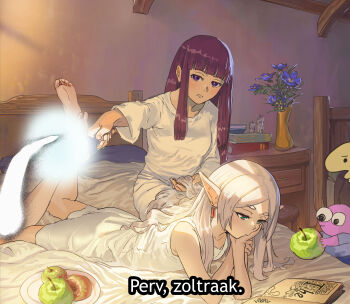 2girls absurdres commentary english_commentary fern_(sousou_no_frieren) frieren highres indoors justin_leyva_(steamy_tomato) multiple_girls purple_hair sousou_no_frieren subtitled tagme