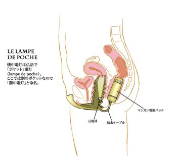 1girl anal anal_object_insertion check_translation copyright_request cross-section dilation_insertion dildo female_focus lamp light object_insertion sex_toy simple_background solo speculum takatou_sora text_focus translated translation_request tunnel_plug uterus vaginal vaginal_object_insertion white_background x-ray