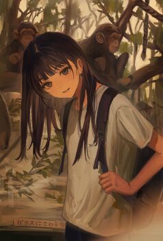 1girl animal backpack bag black_bag branch brown_eyes eyelashes funabashi_(iwzry) head_tilt highres long_hair looking_at_viewer monkey original parted_lips rope shirt short_sleeves sign solo t-shirt translation_request tree white_shirt zoo