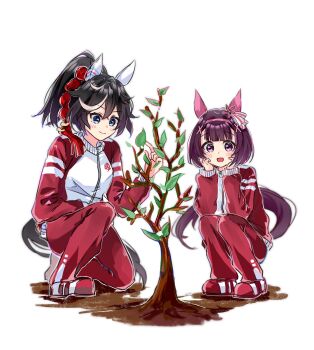 2girls animal_ears black_hair blue_eyes blunt_bangs blush brown_hair closed_mouth ear_covers hair_between_eyes hair_ornament hairband hands_on_own_face highres horse_ears horse_girl horse_tail jacket katsuragi_ace_(umamusume) leaf long_hair long_sleeves morizu929 multicolored_hair multiple_girls nishino_flower_(umamusume) open_mouth pants ponytail purple_eyes red_jacket red_track_suit shoes short_hair smile squatting streaked_hair tail tassel tassel_hair_ornament tracen_training_uniform track_jacket track_pants track_suit tree umamusume white_hair x_hair_ornament