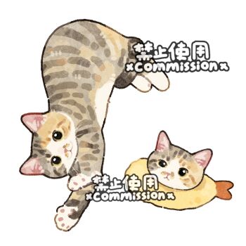 Rule 34 | animal focus, cat, commission, looking at viewer, lying, mihuashi commission, multiple views, no humans, original, square, whiskers, white background, xiao bo kuai kuai