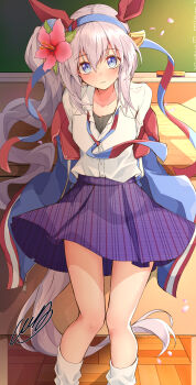 1girl absurdres amaxa animal_ears blue_eyes blue_headband blue_jacket blue_skirt blush board_eraser chalkboard classroom collarbone collared_shirt commentary_request double-parted_bangs dress_shirt ear_covers feet_out_of_frame flower hair_between_eyes hair_flower hair_ornament headband highres horse_ears horse_girl horse_tail indoors jacket kneehighs long_hair looking_at_viewer loose_socks off_shoulder open_clothes open_jacket parted_lips pink_flower pink_petals plaid_clothes plaid_skirt red_headband shirt side_ponytail sidelocks signature sitting skirt socks solo striped_clothes tail tamamo_cross_(umamusume) umamusume unmoving_pattern very_long_hair white_shirt white_socks