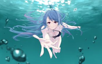 1girl absurdres azur_lane bikini blue_hair breasts full_body helena_(azur_lane) helena_(shimmering_triangle_wave)_(azur_lane) highres hurria long_hair looking_at_viewer medium_breasts multicolored_bikini official_alternate_costume outstretched_hand purple_eyes swimming swimsuit two-tone_bikini underwater