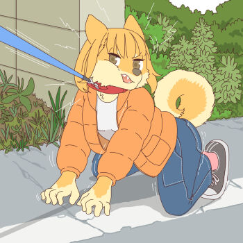 1girl all_fours angry collar dog dog_girl ekaki510 furry furry_female highres jacket leash pants tail teeth tugging