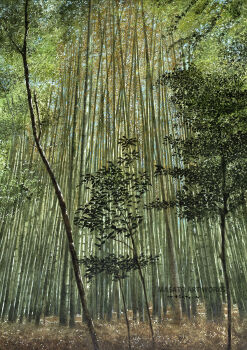 Rule 34 | artist name, bamboo, bamboo forest, commentary request, day, forest, highres, kyoto, nature, no humans, original, outdoors, painting (medium), real world location, scenery, signature, traditional media, tree, watanabe masato, watercolor (medium)