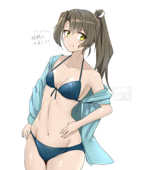 1girl absurdres bikini blue_bikini breasts character_name commentary_request front-tie_bikini_top front-tie_top green_eyes grey_hair highres hood hooded_jacket jacket jacket_over_swimsuit kantai_collection long_hair minoa_11touhei official_alternate_costume official_alternate_hairstyle ponytail ribbon simple_background small_breasts solo string_bikini swimsuit white_background white_ribbon zuikaku_(kancolle) zuikaku_(swimsuit)_(kancolle) zuikaku_kai_ni_(kancolle)