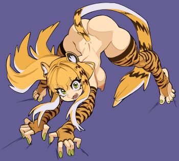 1girl absurdres animal_ear_fluff animal_ears animal_print ass blonde_hair breasts commentary elbow_gloves fangs fingerless_gloves fingernails full_body gloves green_eyes green_nails hair_between_eyes highres ju_fufu large_breasts long_hair looking_at_viewer nail_polish nezo nipples nude open_mouth print_gloves print_thighhighs purple_background simple_background solo stirrup_legwear tail thighhighs tiger_ears tiger_girl tiger_print tiger_tail toeless_legwear toenail_polish toenails toes top-down_bottom-up yellow_gloves yellow_thighhighs zenless_zone_zero