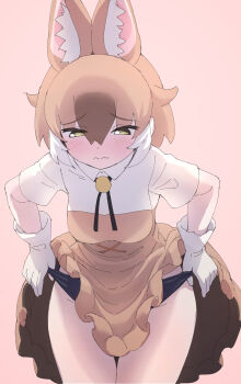 1girl absurdres animal_ears blush brown_hair buruma commentary_request dhole_(kemono_friends) extra_ears gloves highres kemono_friends kemono_friends_3 lowlandgorilla neck_ribbon pink_background ribbon shirt short_hair simple_background skirt solo wolf_ears wolf_girl yellow_eyes