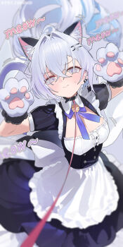 1girl absurdres alternate_costume animal_ear_fluff animal_ears animal_hands berserker_r black_dress breasts cat_ears cat_paws chinese_commentary commentary_request crossed_bangs dress gloves grey_eyes grey_hair hair_between_eyes highres honkai:_star_rail honkai_(series) long_hair looking_at_viewer maid paw_gloves silver_wolf_(cat-maid_ensemble)_(honkai:_star_rail) silver_wolf_(honkai:_star_rail) small_breasts solo