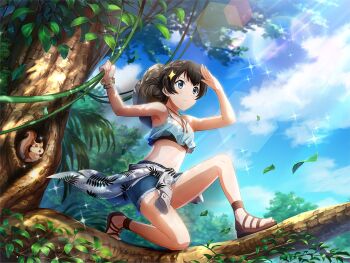 Rule 34 | 1girl, black hair, blue eyes, blue shorts, blue sky, bracelet, closed mouth, clothes around waist, cropped shirt, day, falling leaves, full body, game cg, hair bun, hat, jewelry, kagura hikari, kneeling, leaf, navel, official art, on tree, plant, salute, sandals, shirt, shirt around waist, shorts, shoujo kageki revue starlight, shoujo kageki revue starlight -re live-, sky, solo, sparkle hair ornament, squirrel, stomach, tree, vines, white shirt