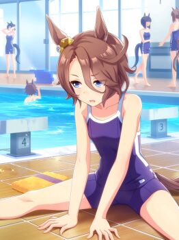5girls absurdres animal_ears annoyed artist_request asymmetrical_bangs bare_arms bare_legs bare_shoulders blue_eyes blue_shorts blue_tank_top brown_hair collarbone day dot_nose ear_ornament eyelashes eyes_visible_through_hair feet_out_of_frame fingernails frown game_cg glass_door hair_between_eyes highres horse_ears horse_tail indoors knees light_blush looking_to_the_side messy_hair multiple_girls narita_taishin_(umamusume) official_art open_mouth pedestal pool short_hair short_shorts shorts sitting solo_focus spread_legs tail tank_top tile_floor tiles tracen_swimsuit tsurime umamusume wavy_eyebrows window
